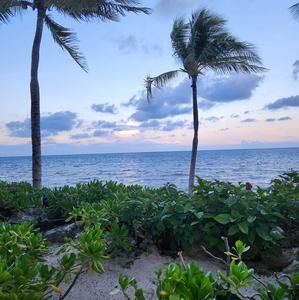 Meet your Posher, Serena